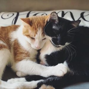 Meet your Posher, Katherine